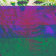 Illustration for article titled 6 F@nTa$ti) Photos of Glitch Art